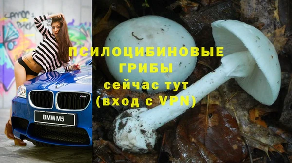мяу мяу мука Алексеевка