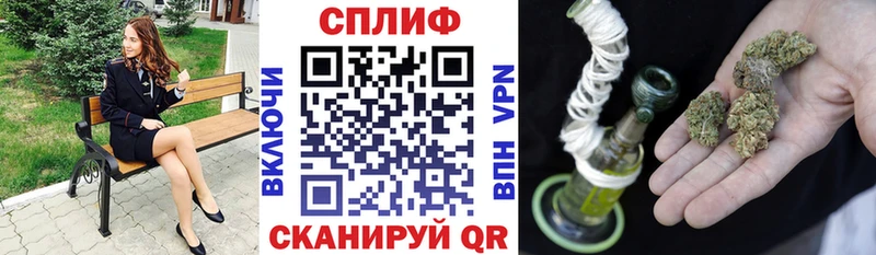 Конопля Bruce Banner Дубна